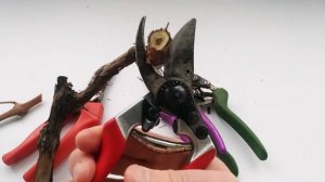 Садовый секатор. Как выбрать. На что обратить внимание.