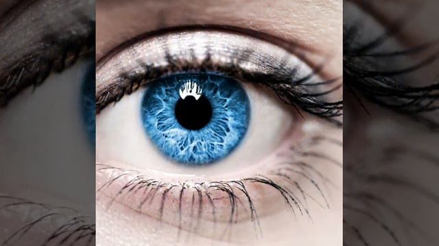 незабудки🌸🌸🌸 смотреть онлайн