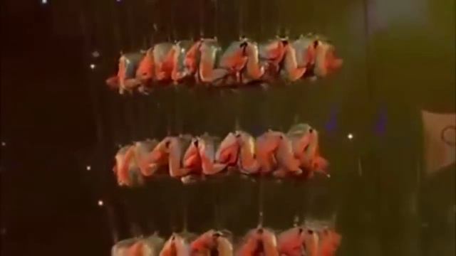 Куда он приведет? (с.91), (+12) смотреть онлайн