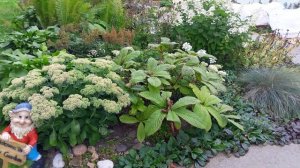 Обзор участка: миксбордер в полутени.