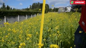 Caiman Athena 60S Бензиновая косилка для высокой травы