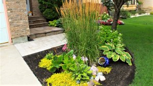 ?Отличные примеры красивого благоустройства загородного дома / Garden plot Beautiful ideas