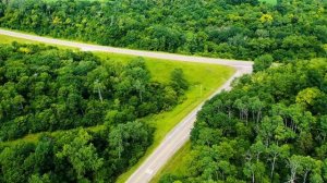 Почему инвестору важно читать финансовые новости.mp4