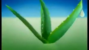 Реклама стиральный порошок Миф 2 в 1 с кондиционером алоэ вера 2007 год