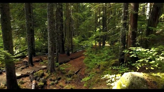 Deep Meditation Music for Positive Energy – In This Moment смотреть онлайн