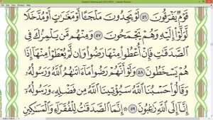 Шейх Айман Сувейд сура Ат Тауба 196