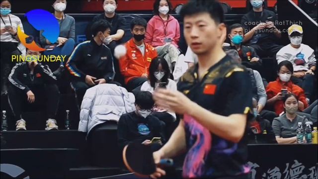 Top 10 best table tennis blades/ racket (2023 edition) смотреть онлайн