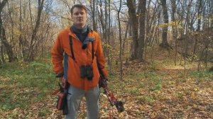 Что такое 3D стрельба из лука