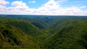 Музыка глубокого расслабления. Звуки природы, пение птиц. Music of deep relaxati