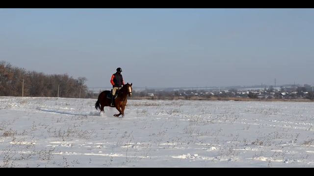 Конный дворик. Кривой Рог. Зимняя прогулка. Паб и Грохот. смотреть онлайн