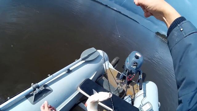 Сентябрь- время ловить Жереха смотреть онлайн