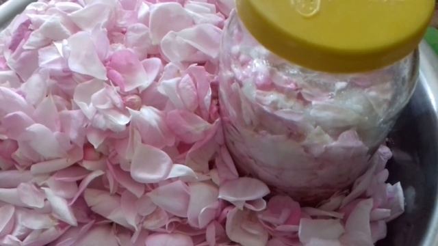 ЖИВЕМО ПРОСТО ТРОЯНДА три супер рецепти смотреть онлайн