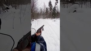 СТРЕЛЯЕМ С РУЖЬЯ ИЖ-27 1981 г. 12 КАЛИБРА ПУЛЕЙ ПО ДЕРЕВУ
