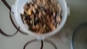 Готовлю корм для моих морских свинок