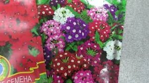 1. Обзор семян цветов.