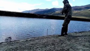 РЫБАЛКА НА КРУПНОГО КАРАСЯ на спиннинг. Активный клев в конце мая. Был доволен такой рыбалкой!