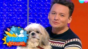 Мультстудия. Выпуск 22 — Силуэтная анимация | Телеканал Карусель