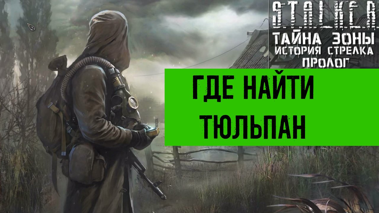 сталкер Тайна Зоны История Стрелка Пролог найти артефакт ночью Тюльпан