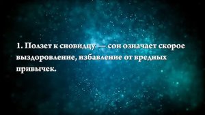 К чему снится большой черный паук - Онлайн Сонник Эксперт