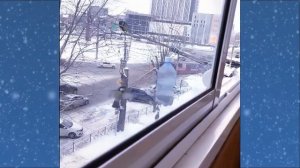 Простейшая кормушка для синиц