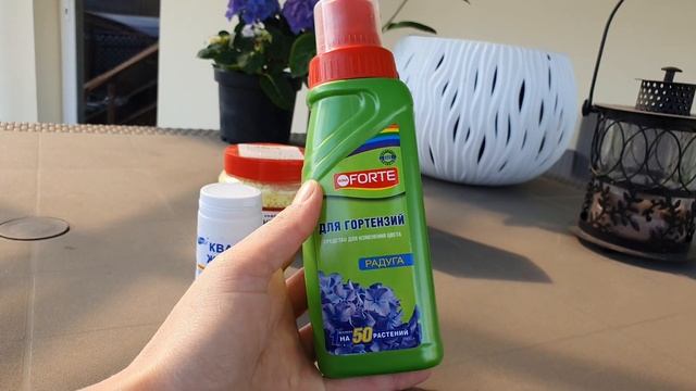 Уход за метельчатыми и крупнолистными гортензиями. Кислотность грунта, а также удобрения смотреть онлайн