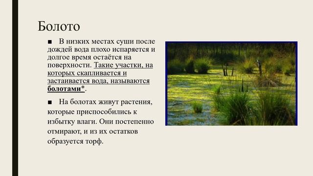 Воды суши: озера, болота, пруды, водохранилища природоведение 5 кл.mp4