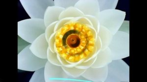 Мантра ОМ МАХАДЕВАЙЯ НАМАХ. Mantra OM MAHA DEVAYA NAMAHA