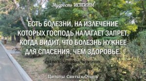 Цитаты Старцев, которые помогут в любви, отношениях в семье и вере. Цитаты Святых Отцов.