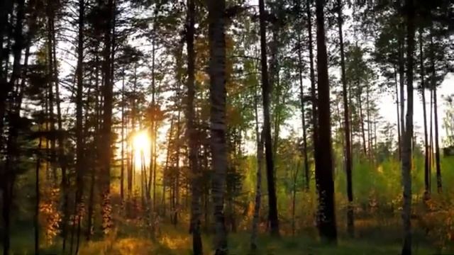 Загадочная история поучительная сказка для детей и родителей поучительные истории для детей слушат смотреть онлайн