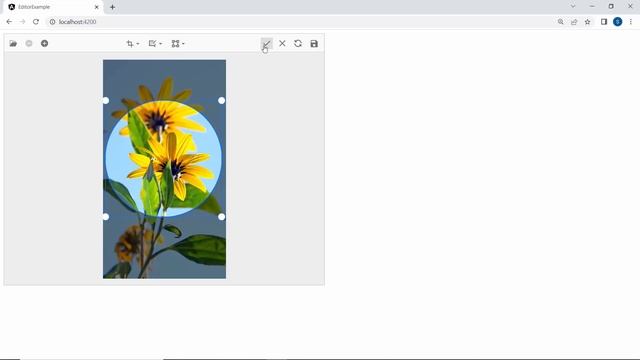 Getting Started with the Angular Image Editor Component смотреть онлайн