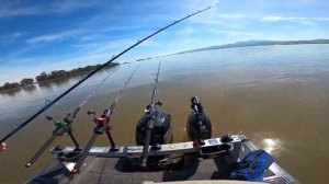 Sturgeon Fishing with Stripers