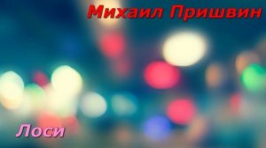 Лоси М Пришвин