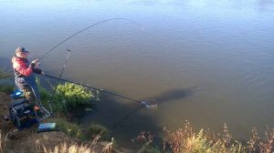 Ловля подуста на Березине