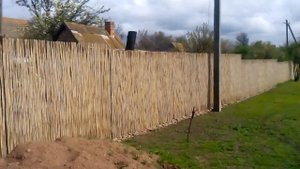 Забор из камыша своими руками