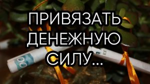 ПРИВЯЗАТЬ ДЕНЕЖНУЮ СИЛУ...ДЛЯ ВСЕХ...