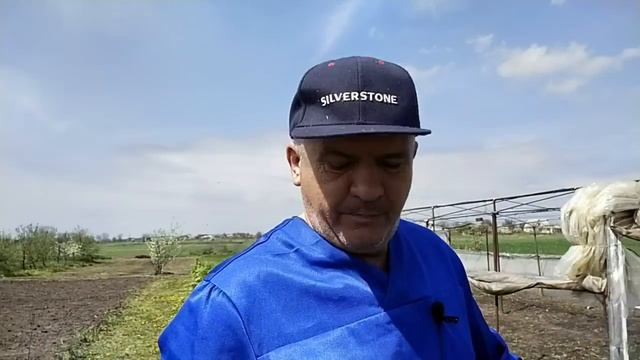 Подкормили клубнику кальцием Это очень важно! смотреть онлайн