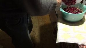 Перебираем Клюкву!