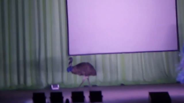 Какой страус)) смотреть онлайн