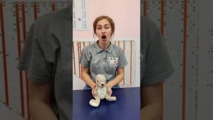 Пальчиковая гимнастика для малышей "Зайка"