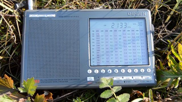 Поездная радиосвязь