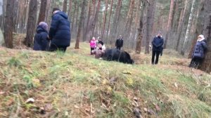 11.21г. Смоленск. Очень интересная Экскурсия.Гнездовскии Курганы