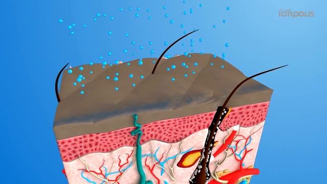 ионизаторводы kz спрей водородная вода для ухода смотреть онлайн