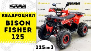 Квадроцикл Bison Fisher 125