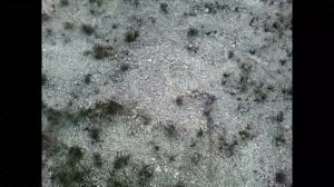 Река Деркул и Лысая гора,  Гармашовка