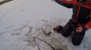 Бешеный клев щуки | Ловля щуки на жерлицы зимой