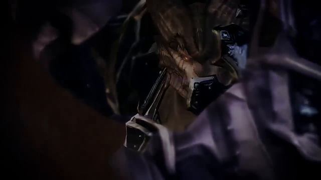Lesiem-Navigator.wmv