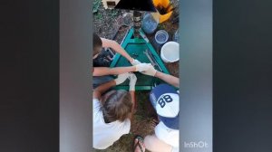 Переработка пластика своими руками #botanica_fest