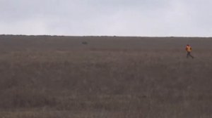960 (86) Эпаньол Бретон Бордо Орцуев Дмитрий