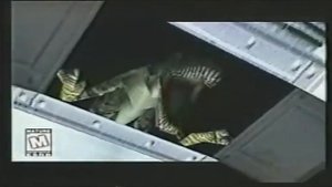 Dino Crisis 1999 - Trailer