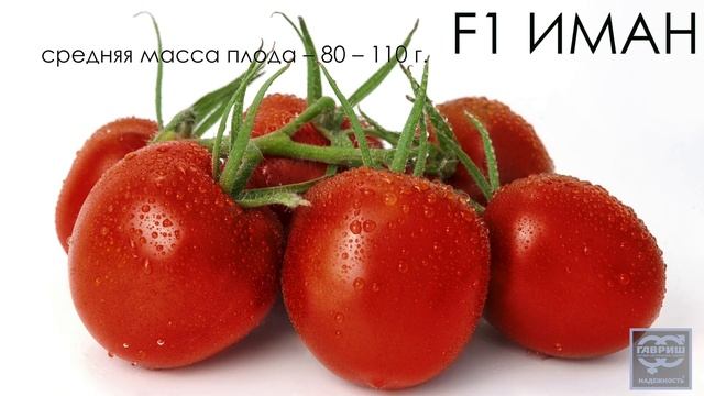 Томат F1 Иман K1194/17. Гавриш Профессиональные семена. смотреть онлайн